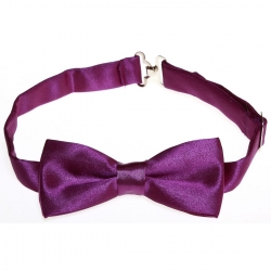 Boys Purple Bow Tie