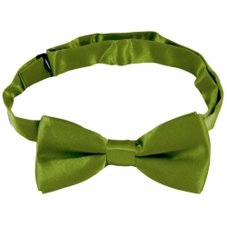 Boys Green Bow Tie