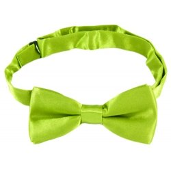 Boys Lime Green Bow Tie