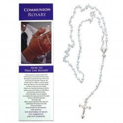 Blue Rosary On How To Pray The Rosary Card