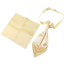 Boy Cravat With Handkerchief In Light Gold Colour