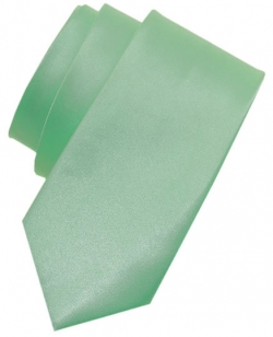 5 To 16 Years Light Green Colour Boys Tie