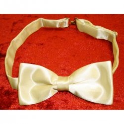 Boy ivory bow tie