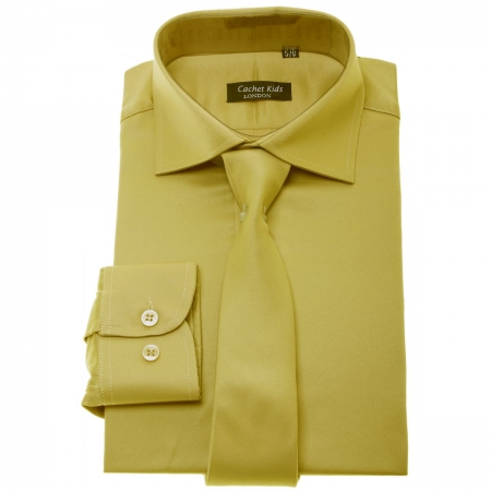 Boys Dark Gold Shirt With Tie Set