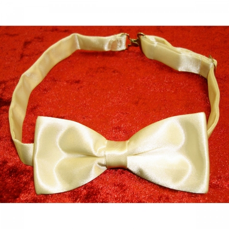 Boy ivory bow tie