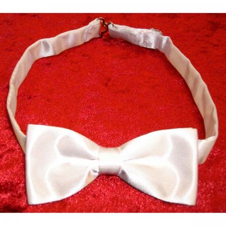 Boy White Bow Tie