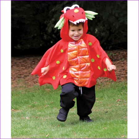 Blaze Red Dragon Dressing Up For Boys 18 To 36 Months
