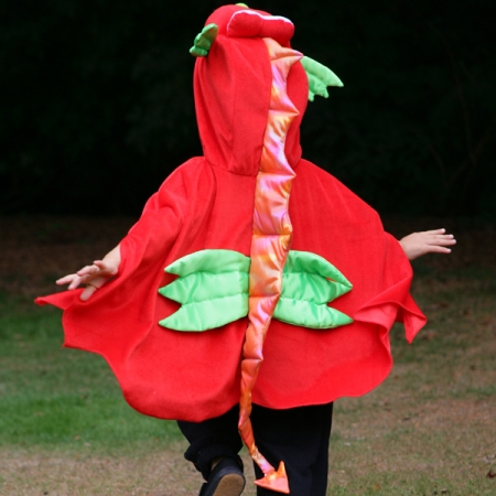 Blaze Red Dragon Dressing Up For Boys 18 To 36 Months #3