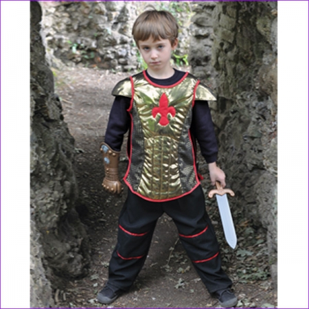 Brave Heart Knight Dressing Up outfit for 3 To 8 Years
