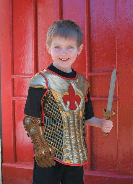 Brave Heart Knight Dressing Up outfit for 3 To 8 Years #2